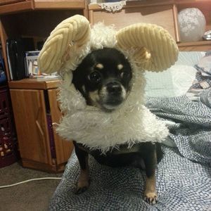 Meet your Posher, Don